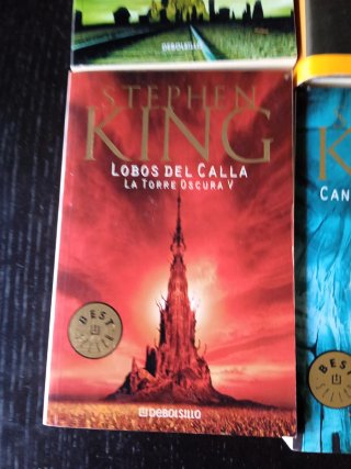 Stephen King. La torre oscura