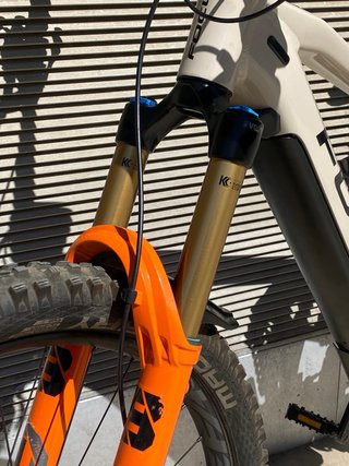 E-bike Focus Sam2 6.9 Talla L