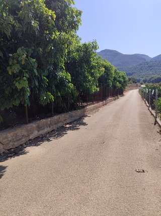 Parcelas de campo cerca de Cullera