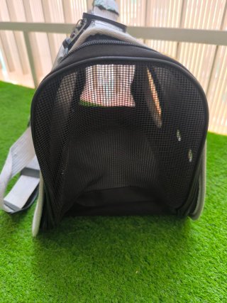 Transportín para Gato con Ventana