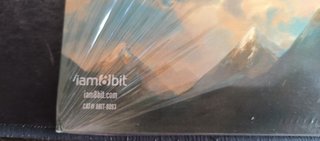 The Messenger Vinilo Edición Limitada 3000