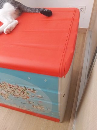 Baúl de Almacenamiento Infantil