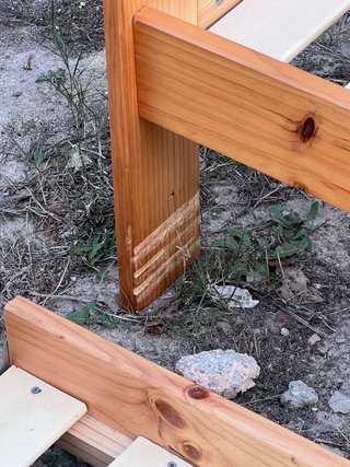 Cama nido de pino