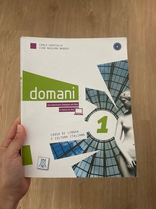 Libro Domani 1