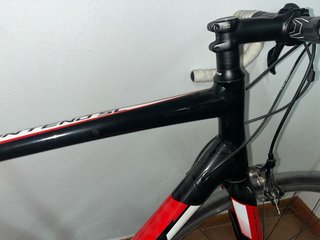 Bicicleta GIANT Carretera Talla M/L