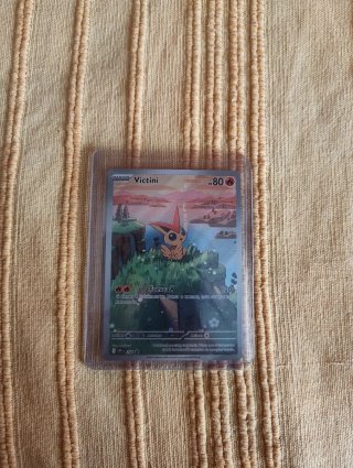 Cartas Pokémon en funda de plástico