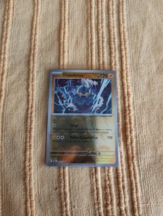 Cartas Pokémon en funda de plástico