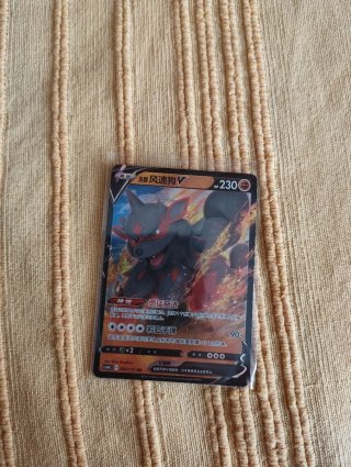 Cartas Pokémon en funda de plástico