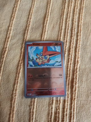 Cartas Pokémon en funda de plástico