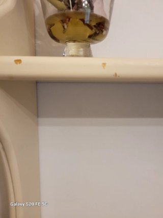 Estantería de Pared Doble en Madera