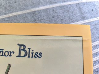 El señor Bliss