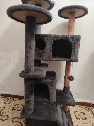 Rascador para gatos de varios niveles no negociabl