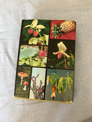 Gran Enciclopedia de las plantas (ilustrada)