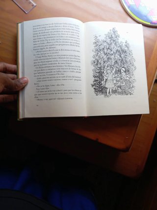 Los niños de Bullerbyn