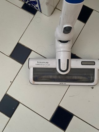 Aspirador Taurus Ultimate Go Animal