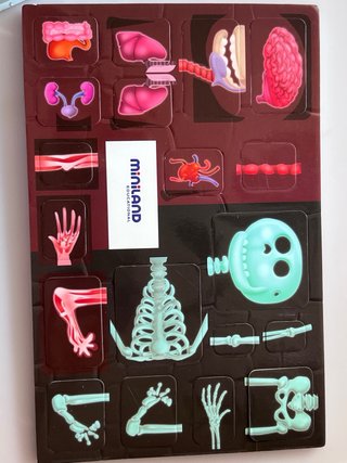 Juego Educativo Magnético Cuerpo Humano Miniland