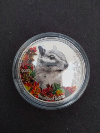 Onza plata  "Woodland Spirits Chipmunk"  2023