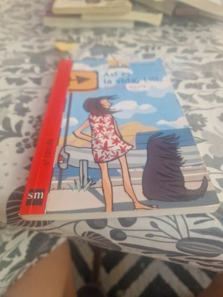 Así es la vida, Lili
