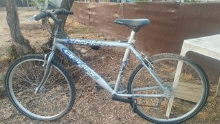 Bicicletas