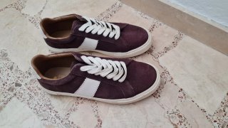 Zapatillas Casual Sprinfield 41