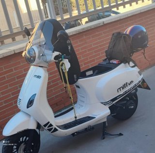 Scooter Mitt RT