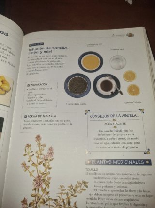 La botica de la abuela los remedios y consejos ...