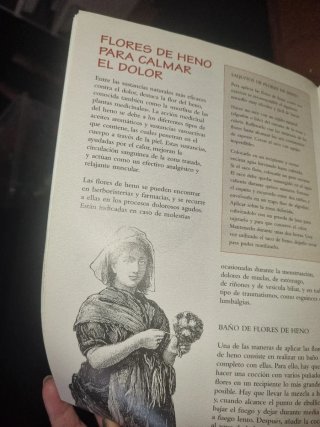 La botica de la abuela los remedios y consejos ...