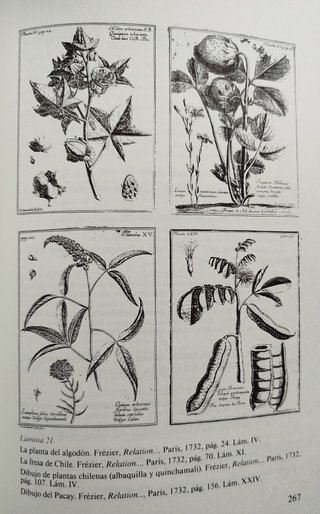 El viaje de Amedée Frézier. América. Pacífico
