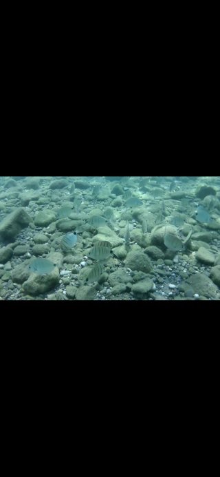 Action Cam con Accesorios