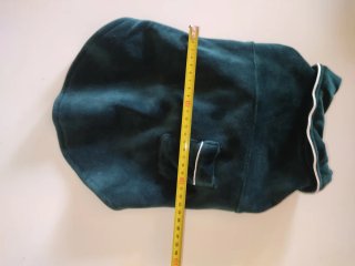 Chaqueta terciopelo verde para perro