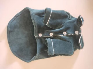 Chaqueta terciopelo verde para perro