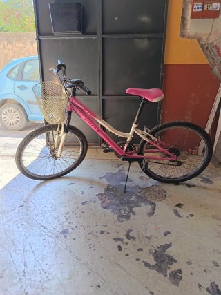 Bicicleta niña rosa