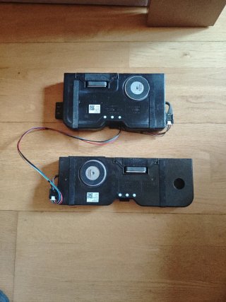 Altavoces y Placa T-CON TV LG OLED 55C46LA