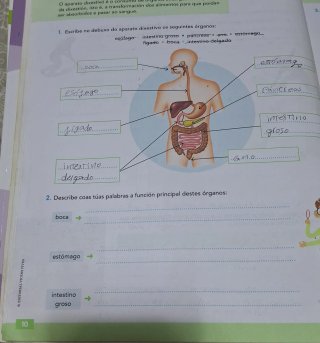 Ciencias Sociais 6 Educación Primaria ciencias Nat
