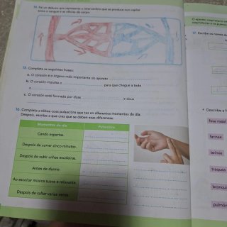 Ciencias Sociais 6 Educación Primaria ciencias Nat