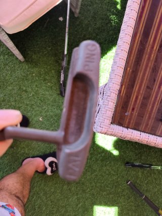 Putter Ping Pal