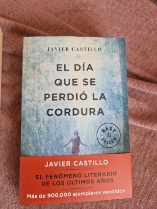 Libro El día que se perdió la cordura