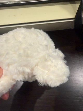 Peluche perro blanco con orejas marrones