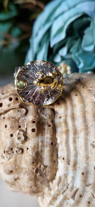 Anillo colección naturaleza rana