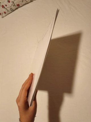 Arirang BTS Vinyl Deluxe Color Version Kpop Album