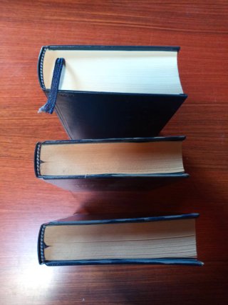 Vocabolario della Lingua Italiana - Devoto Oli