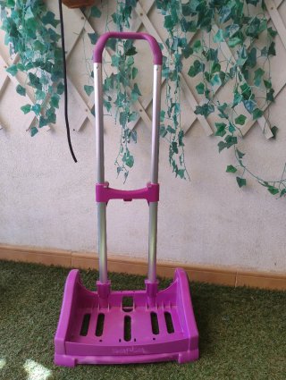 Carrito safta para Mochila Escolar Rosa