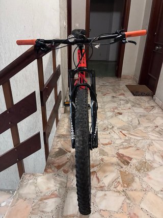 BH Lynx Race