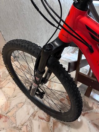 BH Lynx Race
