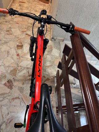 BH Lynx Race