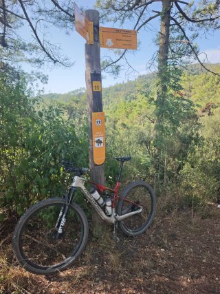 Bicicleta Megamo Track 100 2026