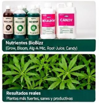Pack Completo de Cultivo Indoor Armario, LED, etc.