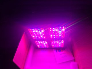 Pack Completo de Cultivo Indoor Armario, LED, etc.