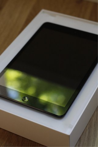 iPad Mini 1.ª generación (2012)
