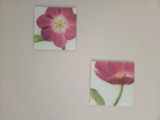 2 Cuadros Decorativos de Flores en Cristal
